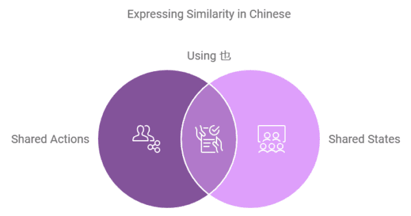 A Venn diagram illustrating the usage of 也 in Mandarin Chinese to express similarity, showing shared actions, shared states, and their overlap.