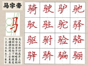 Grid of Chinese characters featuring the 'horse' radical. Includes a close-up on the stroke order for the character "马" and examples of its usage in compound characters.